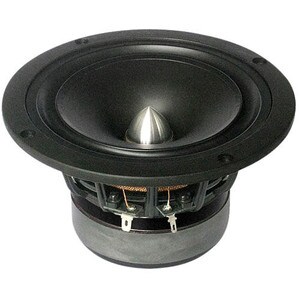 Tang Band W5-1611SAF 5" Full Range Speaker